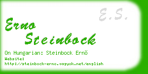 erno steinbock business card